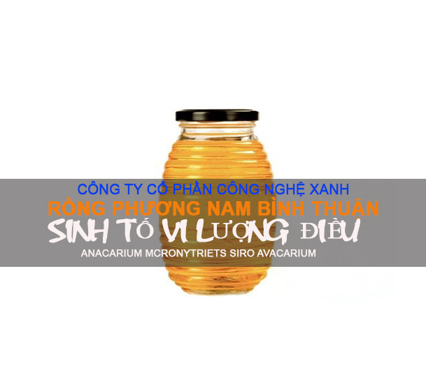 SINH TỐ VI LƯỢNG ĐIỀU (SIRO ANACARDIUM)