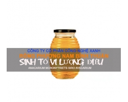 SINH TỐ VI LƯỢNG ĐIỀU (SIRO ANACARDIUM)